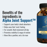 Alpha Joint Support