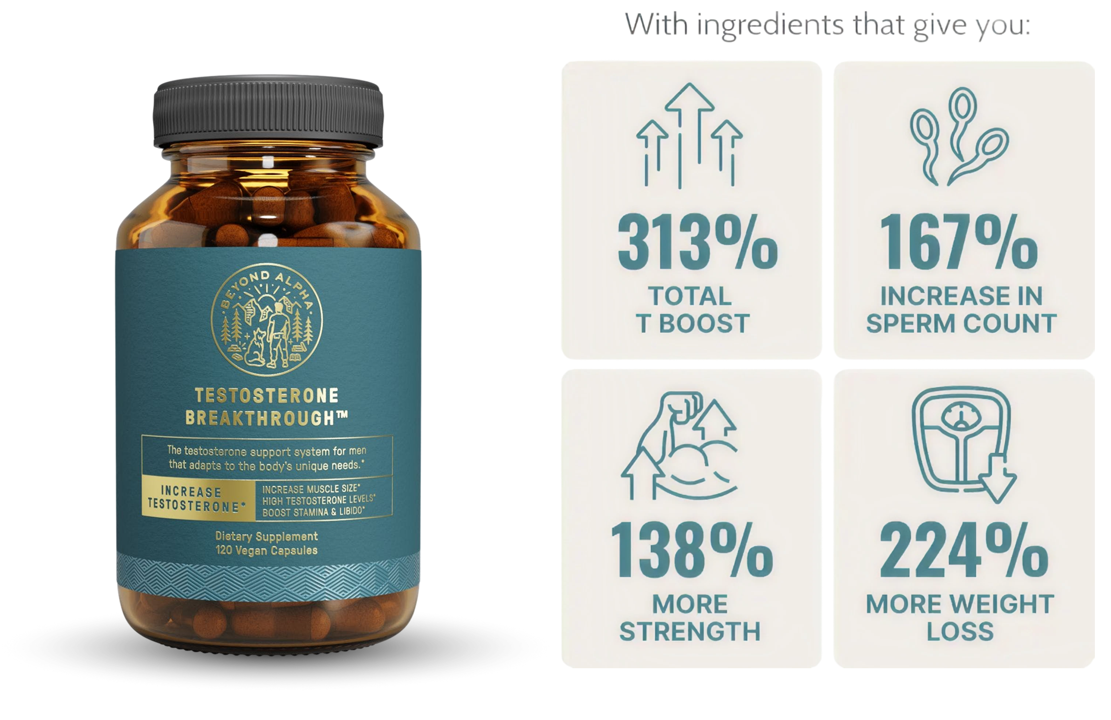 T Body Stack Dream Body Stack: Real Results From Real Men – Beyond Alpha